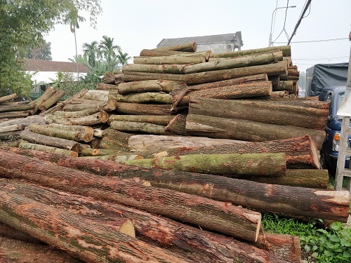 Customized Size Acacia Wood