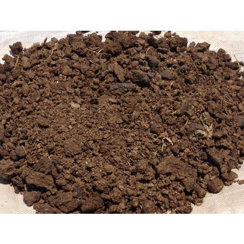 Brown Color Natural Cow Dung