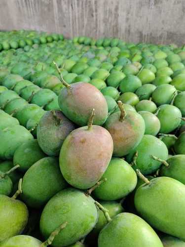 Fresh Ratnagiri Alphanso Mango