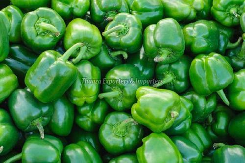 100% Maturity Green Capsicum Shelf Life: 1-3 Days