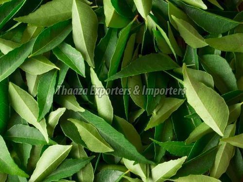 100% Natural Curry Leaves