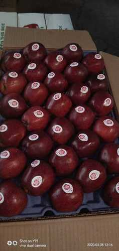 Red A Grade Fresh Apple Fruit