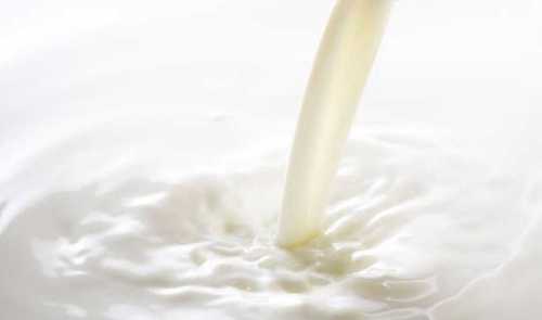 Easy To Digest Natural Milk Age Group: Adults