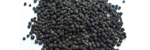 Export Quality Black Pepper Grade: Spice