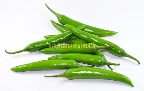 Fresh Dark Green Chilli