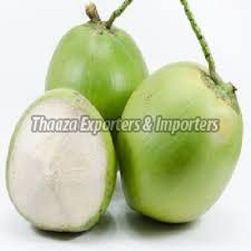 Organic Healthy Green Tender Coconut