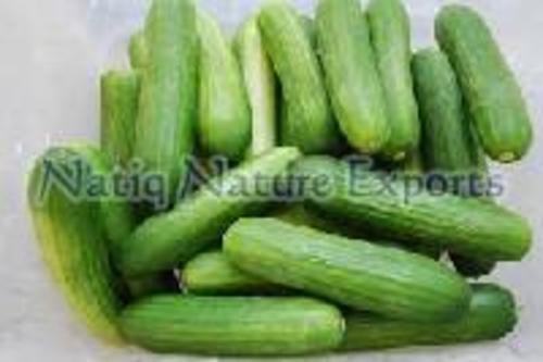 Natural Fresh Healthy Cucumber