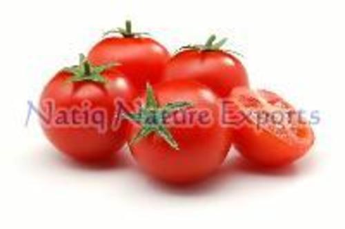 Natural Fresh Tomato for Cooking