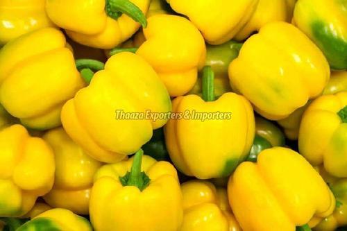 No Preservatives Yellow Capsicum Shelf Life: 1-3 Days