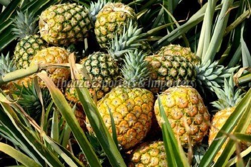 Rich Taste Natural Pineapple
