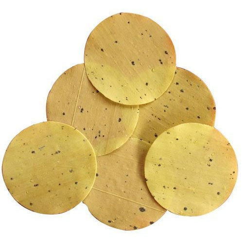 Crispy Round Methi Papad