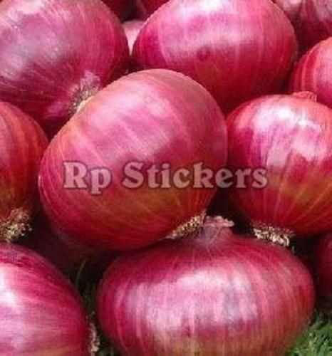 Large Red Onion For Cooking