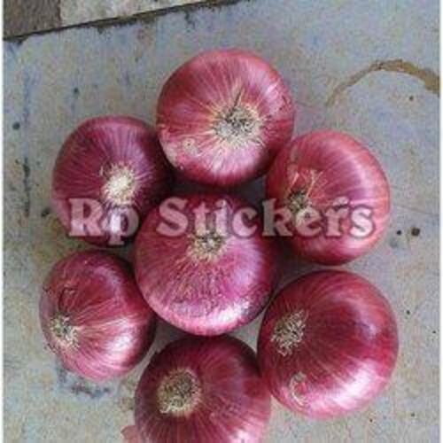 Natural Fresh Red Onion 