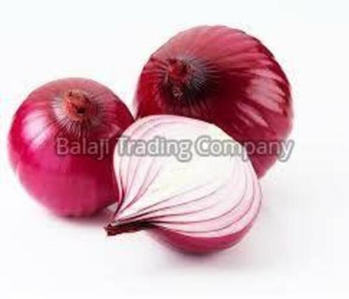 Organic Red Onion For Cooking