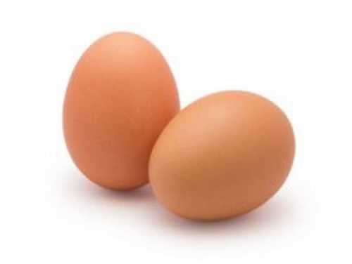 Poultry Farm Brown Eggs
