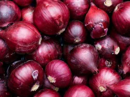 Fresh Indian Red Onion