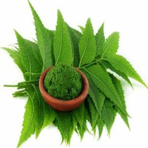 Pure Natural Neem Leaves