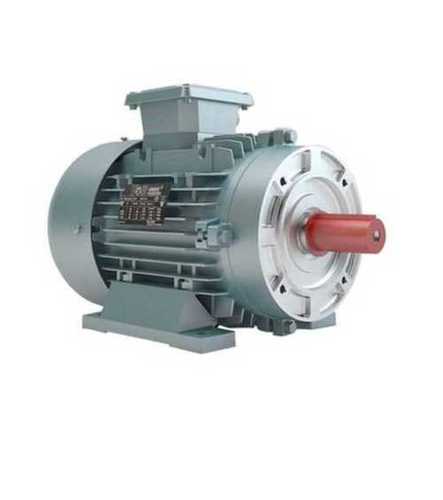 Three Phase Electrical Induction Motor