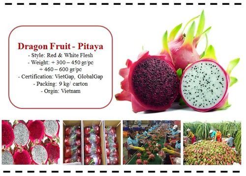 Natural Fresh Dragon Fruit (Pitaya)