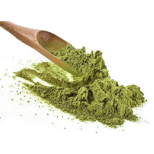 Light Green Giloy Powder