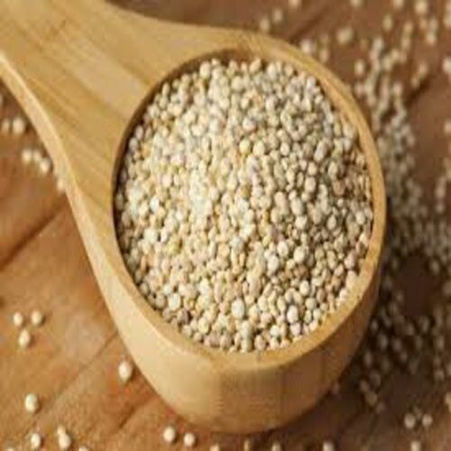 Light Yellow Quinoa Seeds Supplier