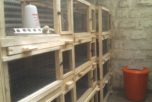 Eco Friendly Wire Mesh Bird Cage