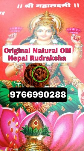 Original Natural Om Rudraksha