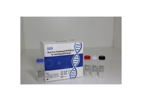 Real Time Florescent RT PCR Kit