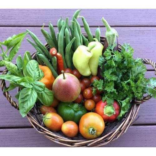 Various Chemical Free Organic Vegetables