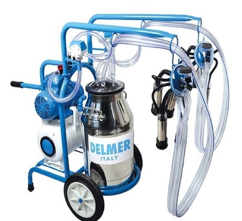 White & Blue Double Cluster Single Bucket Milking Trolley