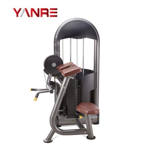 Body Building Gymnastic Equipment Biceps Curl