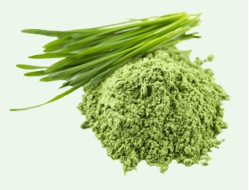 Pure Natural Wheat Grass