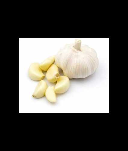 A Grade Fresh Garlic