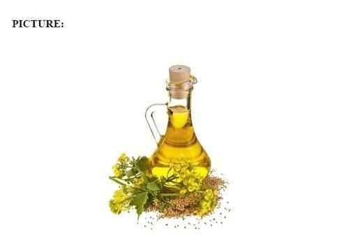 Bright and Clear Rapeseed Oil