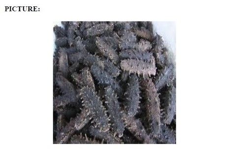 Frozen And Dried Sea Cucumber