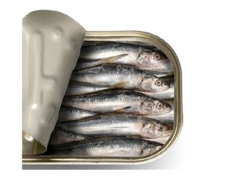 Healthy Canned Sardine Fish