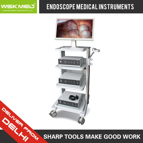 Medical Video Endoscope System