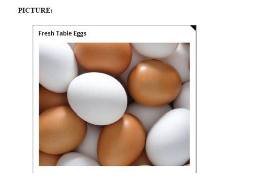 Protein Rich Good For Health Fresh Table Chicken Eggs