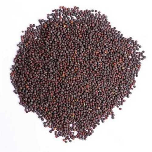 Organic Dried Black Mustard Seeds