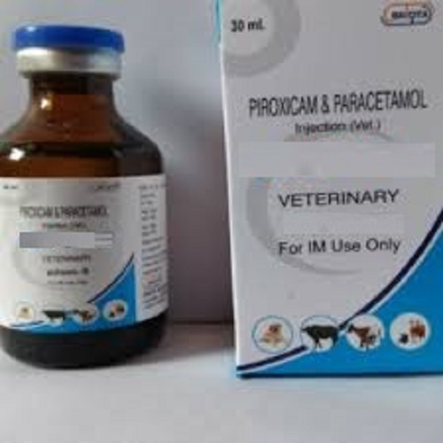 Paracetamol Iv For Dogs At Emma Sparks Blog