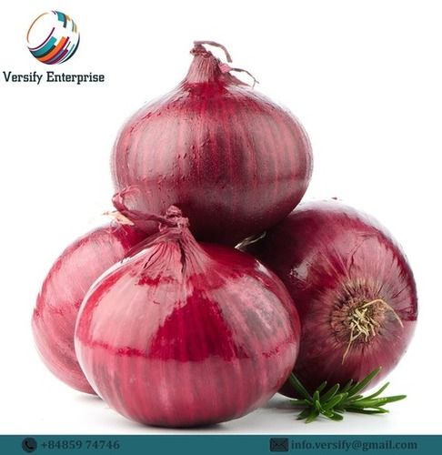 Fresh Red Indian Onion