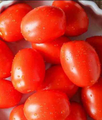 A Grade Red Fresh Tomatoes