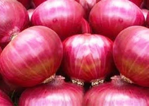 Farm Fresh Red Onion