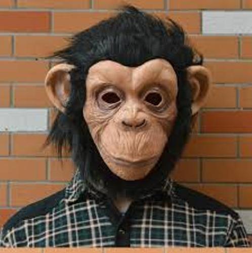 Latex Monkey Animal Party Wear Face Mask