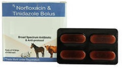 Veterinary Norfloxacin And Tinidazole Bolus Certifications Who Price 130 Inr Box Id