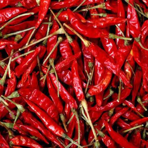 A Grade Red Chilli