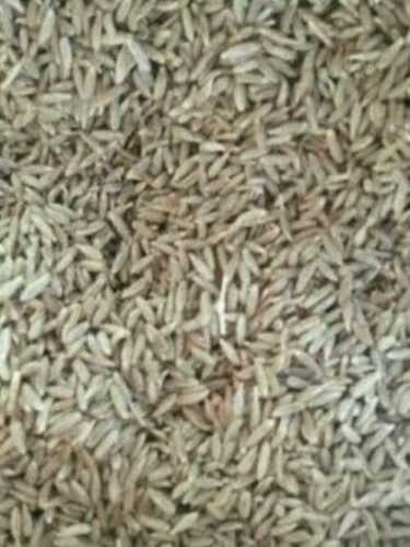 White Export Quality Organic Cumin Seeds