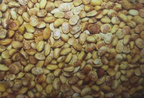 Common High Grade Chironji Seed