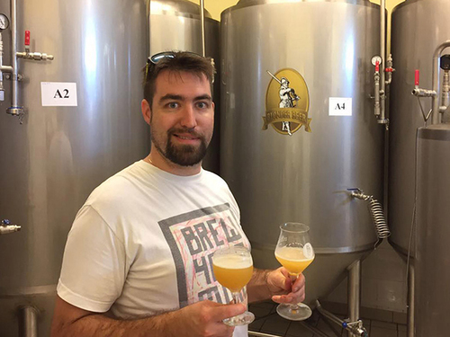 Microbrewery Blonderbeer 500l Machine