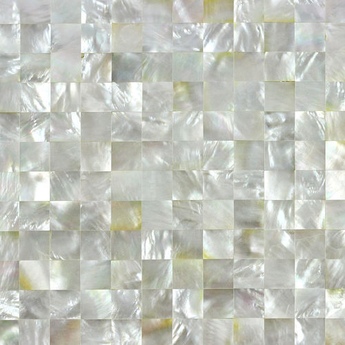 Wear-Resistant Australia Deep Sea Shell White Mosaic Tiles